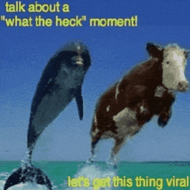 Talk About A What The Heck Moment Lets Get This Thing Viral GIF - Talk About A What The Heck Moment Lets Get This Thing Viral What The Heck Moment GIFs