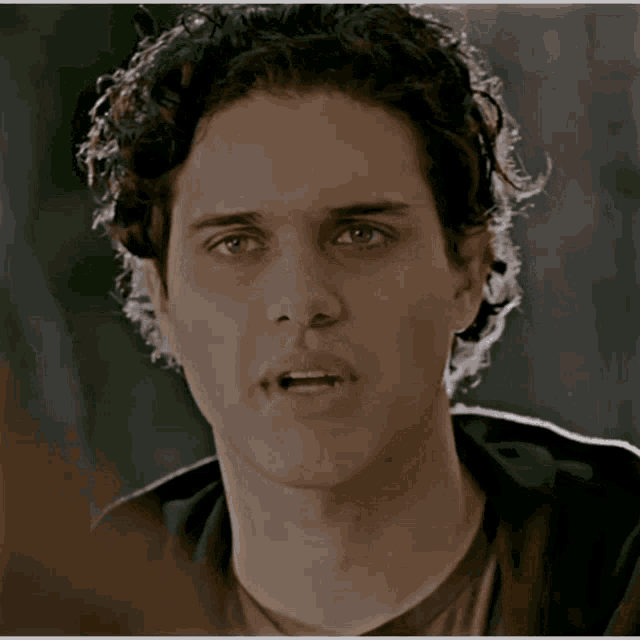 a man with curly hair looks at the camera