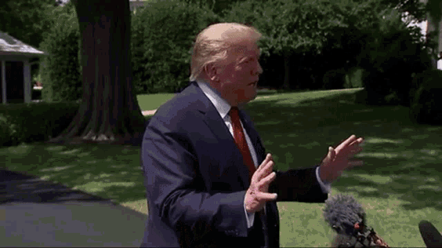 Donald Trump Trump GIF - Donald Trump Trump Chosen One GIFs