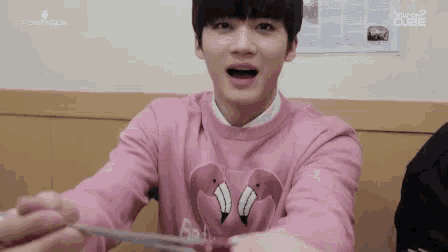 a boy in a pink flamingo sweater is holding a pair of scissors .