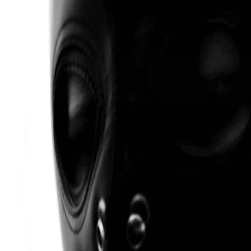 a close up of a black and white photo of a camera 's lens .