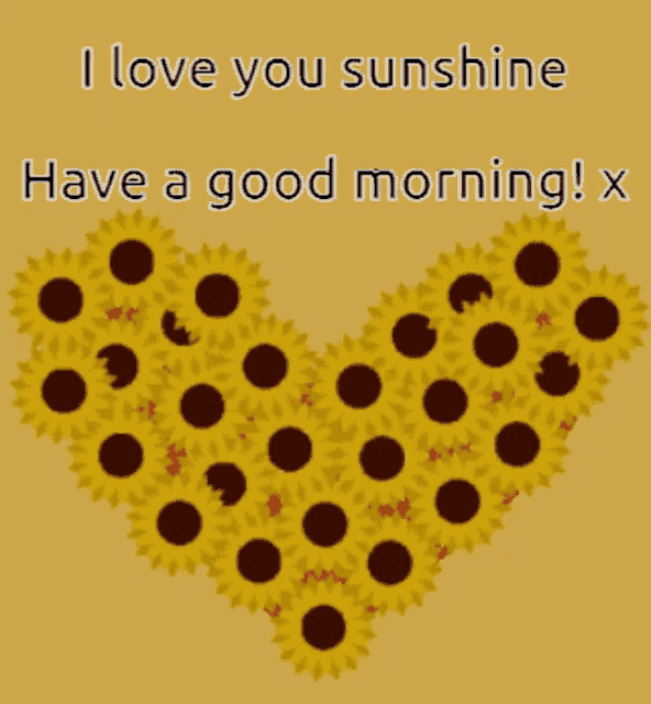 a card that says i love you sunshine have a good morning x