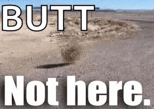 a picture of a desert with the words butt not here on the bottom