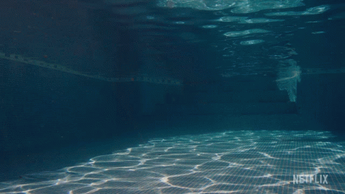 Swimming The Crown GIF - Swimming The Crown Diving GIFs