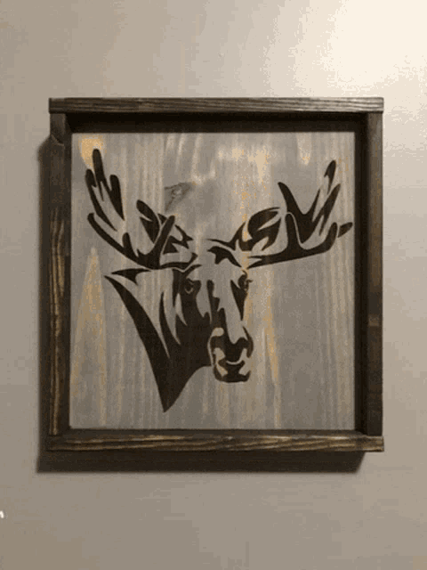 a framed picture of a moose 's head with antlers