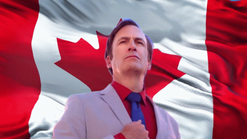 Canada Canadian GIF - Canada Canadian Canadian Flag GIFs