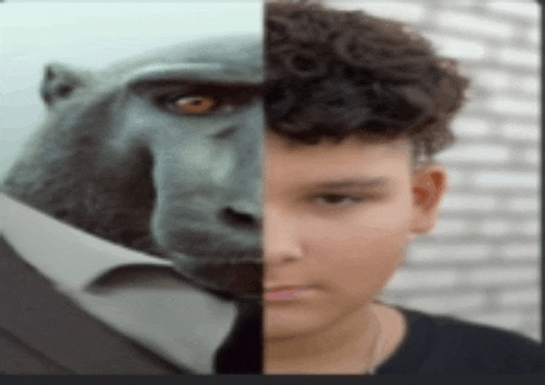 half a monkey and half a boy 's face are shown