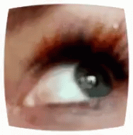 Eye Blink GIF - Eye Blink Eyelash GIFs