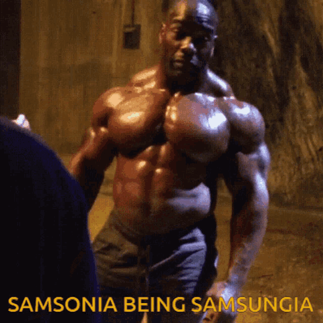 Samsonia Samsungia GIF - Samsonia Samsungia Sam GIFs