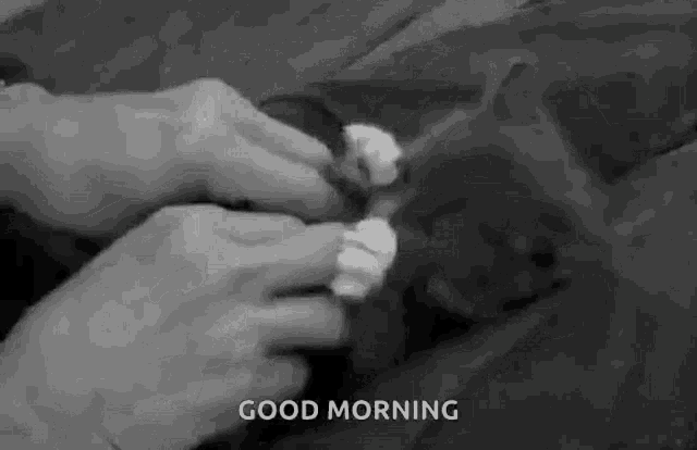 a person is petting a cat on a bed in a black and white photo with the words `` good morning '' .