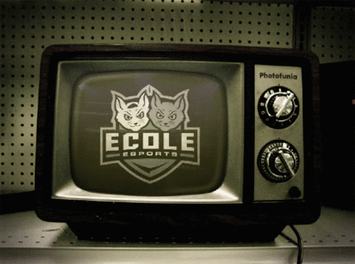 Ecole Ecole Esports GIF - Ecole Ecole Esports Tv GIFs