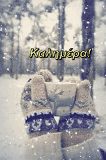 a picture of a person holding a cup of coffee in the snow with the words " καλημερα " on the bottom