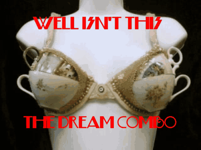a mannequin wearing a bra made out of tea cups with the words well isn 't this the dream combo