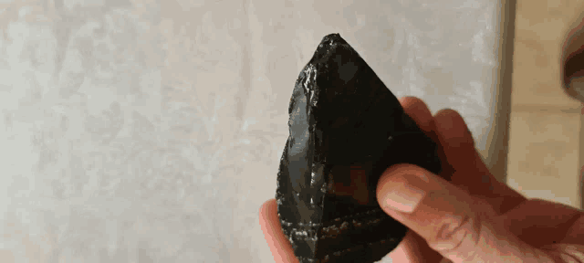 a person is holding a large piece of black rock