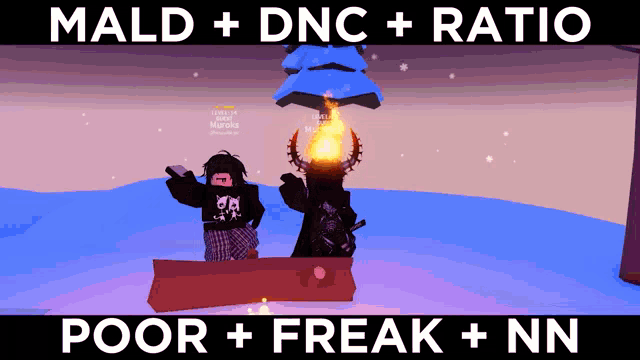 a poster that says mald dnc ratio poor freak and nn
