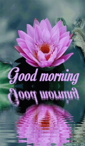 Good Morning Flower GIF - Good Morning Flower Ripple GIFs