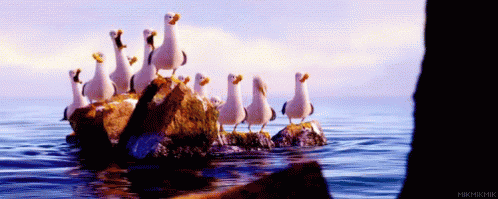 Finding Nemo Mine GIF - Finding Nemo Mine Seagulls GIFs