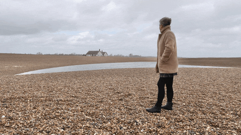 a woman standing on a beach with a house in the distance