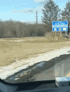 a blue sign that says new york is in the middle of a field