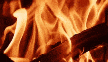 a close up of a fire with a lot of flames coming out of it