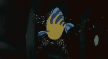Flounder GIF - Little Mermaid Stuck Ariel GIFs