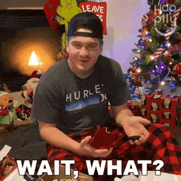 a man wearing a hurley shirt is sitting in front of a christmas tree holding a gift box and says wait what ?