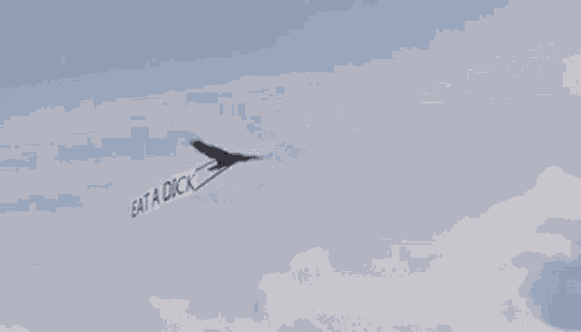 a bird is flying with a banner that says eat a dick .