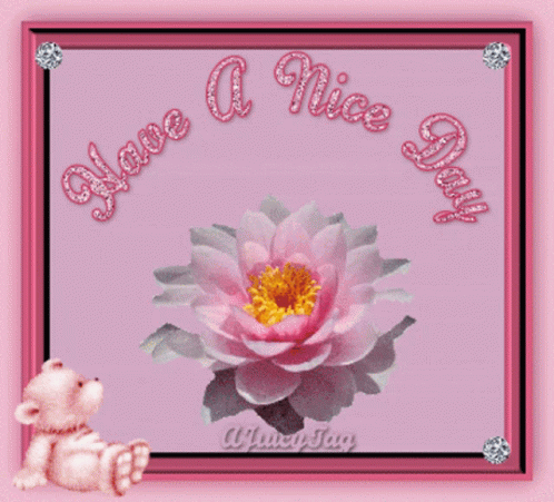 Nice Day Pink GIF - Nice Day Pink Flower GIFs