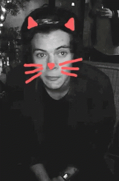Harry Styles One Direction GIF - Harry Styles One Direction Kitten GIFs