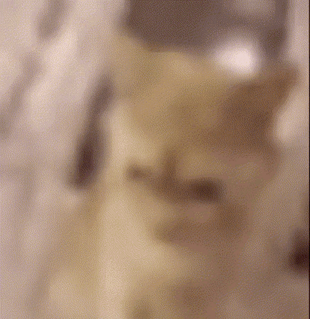 a blurred image of a person 's face with a few dots on it