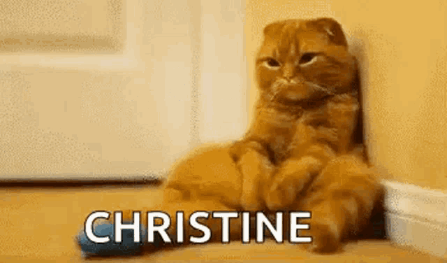 a cat is sitting on the floor next to a door with the name christine on it .