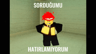 a picture of a roblox character with the words " sordugumu hatirlamiyorum "