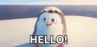 Hello Penguin GIF - Hello Penguin Madagascar GIFs