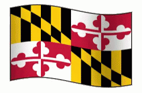 Maryland Flag GIF - Maryland Flag State GIFs
