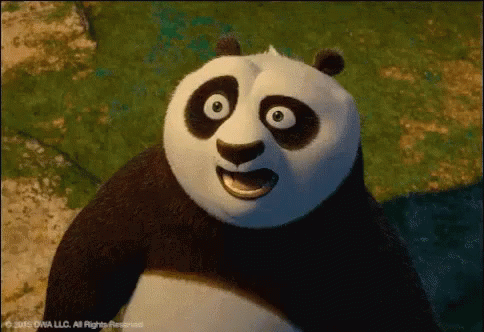 Kung Fu Panda Shocked GIF - Kung Fu Panda Shocked GIFs