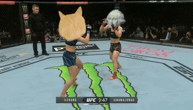 two women are fighting in a ufc ring and one has a cat head