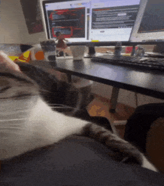 a cat is laying on a desk in front of two computer monitors