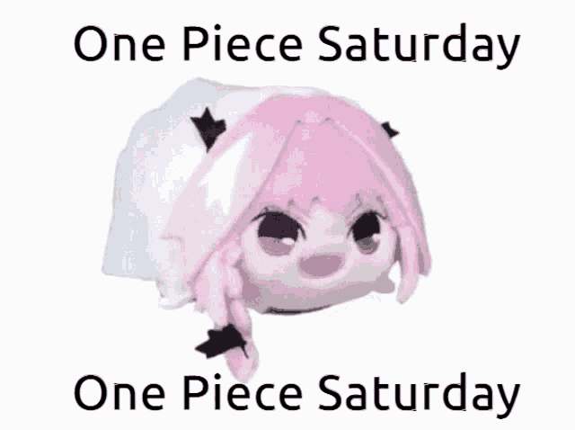 a stuffed animal with the words one piece saturday on it