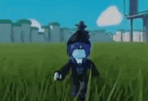 a person is standing in a field of grass with a blue sky in the background .