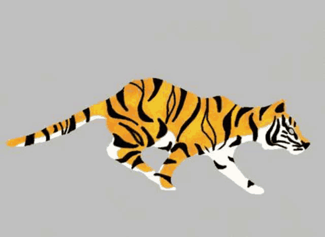 a tiger is running on a gray background in a cartoon .
