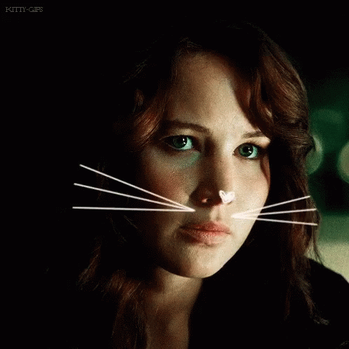 Hunger Games GIF - Hunger Games Jennifer GIFs