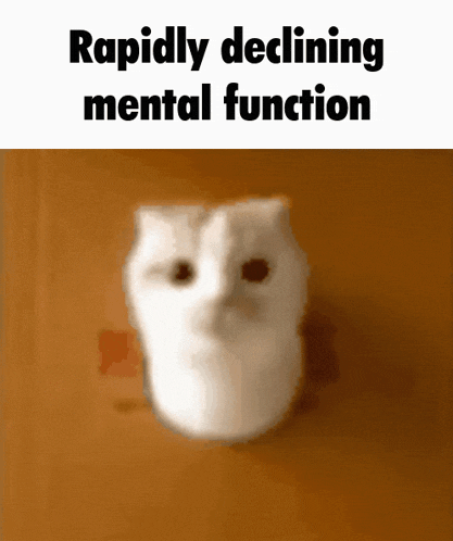 a picture of a cat with the words rapidly declining mental function