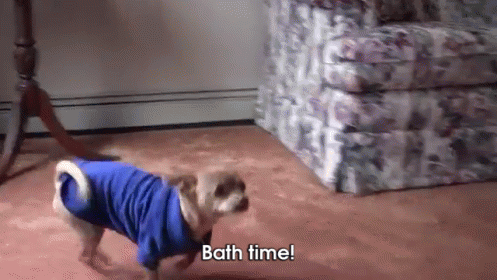 Run From Your Troubles GIF - Puppy Dog Hide GIFs