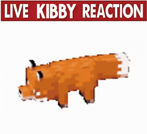 Kibby Reaction GIF - Kibby Reaction Live Reaction GIFs