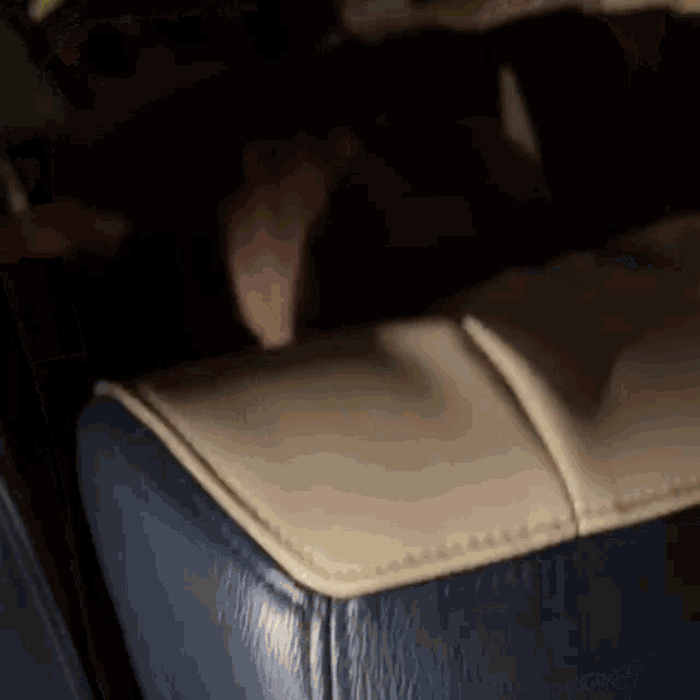a person is sitting on a blue and white leather couch .
