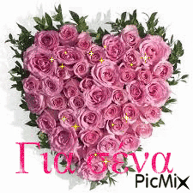 a heart shaped bouquet of pink roses with the name eva written on it .