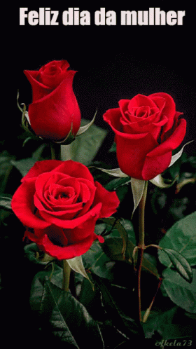 Rosas Feliz Dia Da Mulher GIF - Rose GIFs