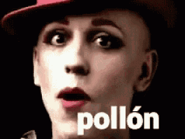 a close up of a woman 's face with the word pollon on the bottom