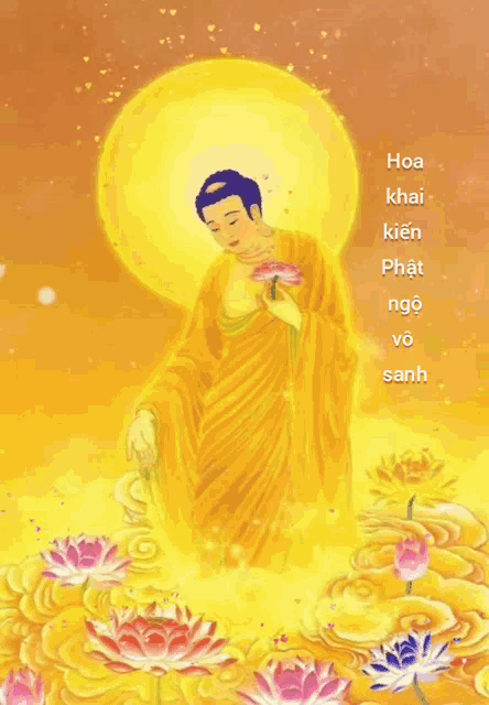 A Diđàphật Amitabha GIF - A Diđàphật Amitabha Phật Giáo GIFs