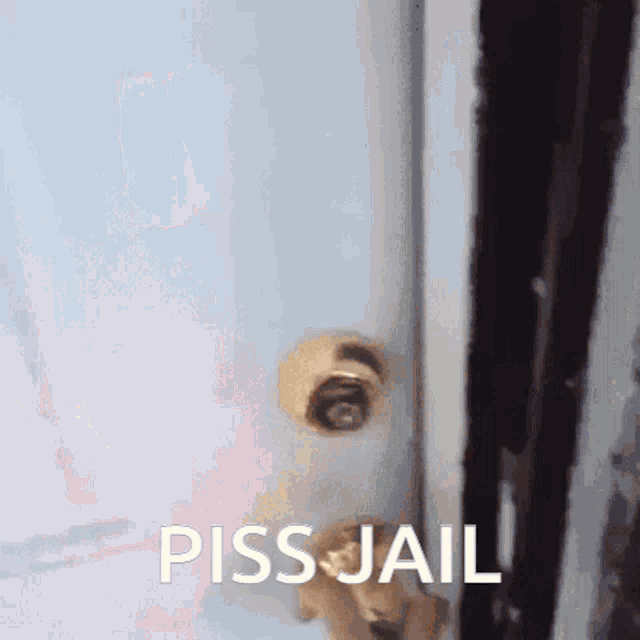 a picture of a door with the words piss jail written on it